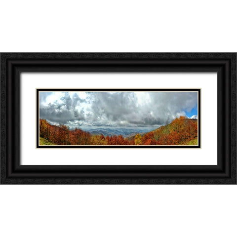 Cherohala Pano Black Ornate Wood Framed Art Print with Double Matting by Lee, Rachel