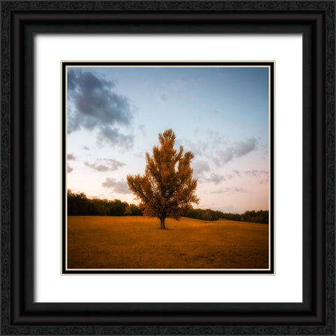 Chickamauga 15 Black Ornate Wood Framed Art Print with Double Matting by Lee, Rachel