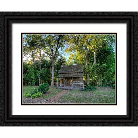 Chickamauga 21 Black Ornate Wood Framed Art Print with Double Matting by Lee, Rachel