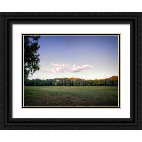 Chickamauga 7 Black Ornate Wood Framed Art Print with Double Matting by Lee, Rachel