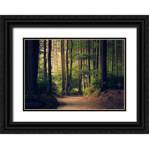 Country Road 18 Black Ornate Wood Framed Art Print with Double Matting by Lee, Rachel