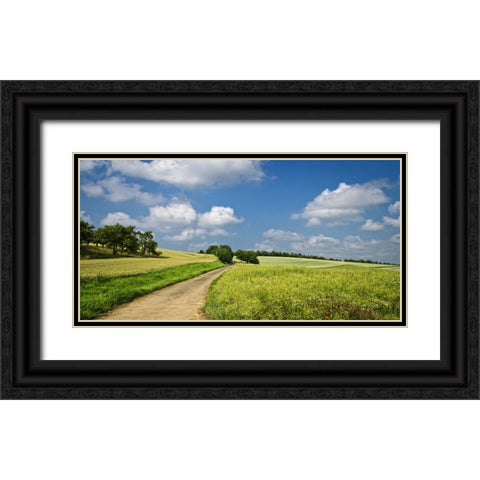 Country Road 20 Black Ornate Wood Framed Art Print with Double Matting by Lee, Rachel
