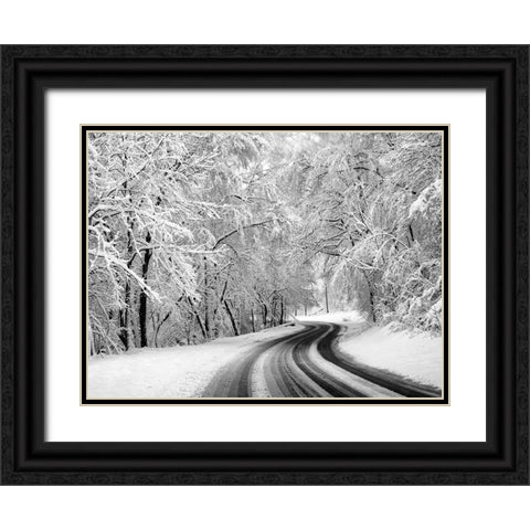 Country Road 23 Black Ornate Wood Framed Art Print with Double Matting by Lee, Rachel
