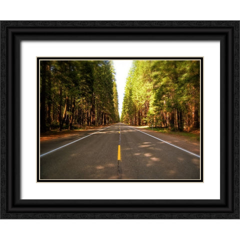 Country Road 3 Black Ornate Wood Framed Art Print with Double Matting by Lee, Rachel