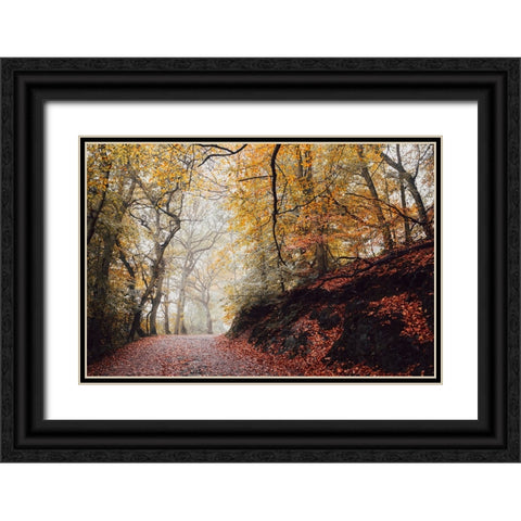 Country Road 4 Black Ornate Wood Framed Art Print with Double Matting by Lee, Rachel