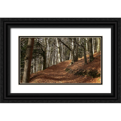 Country Road 5 Black Ornate Wood Framed Art Print with Double Matting by Lee, Rachel