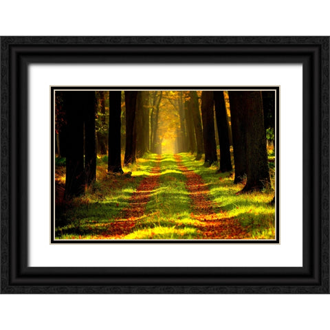 Country Road 6 Black Ornate Wood Framed Art Print with Double Matting by Lee, Rachel