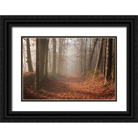 Country Road 7 Black Ornate Wood Framed Art Print with Double Matting by Lee, Rachel