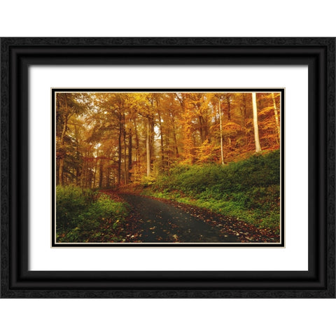 Country Road 8 Black Ornate Wood Framed Art Print with Double Matting by Lee, Rachel