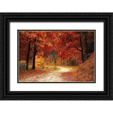 Country Road 9 Black Ornate Wood Framed Art Print with Double Matting by Lee, Rachel
