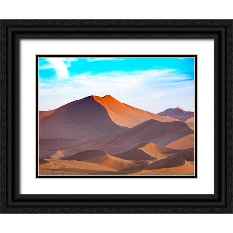 Desert 2 Black Ornate Wood Framed Art Print with Double Matting by Lee, Rachel