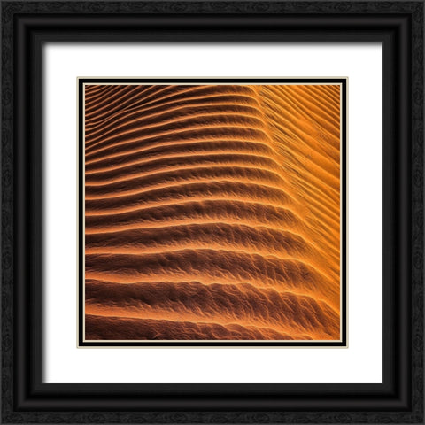 Desert 3 Black Ornate Wood Framed Art Print with Double Matting by Lee, Rachel