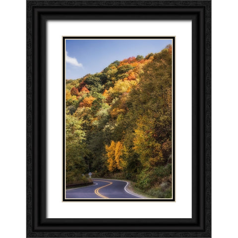 Fall Bend Black Ornate Wood Framed Art Print with Double Matting by Lee, Rachel