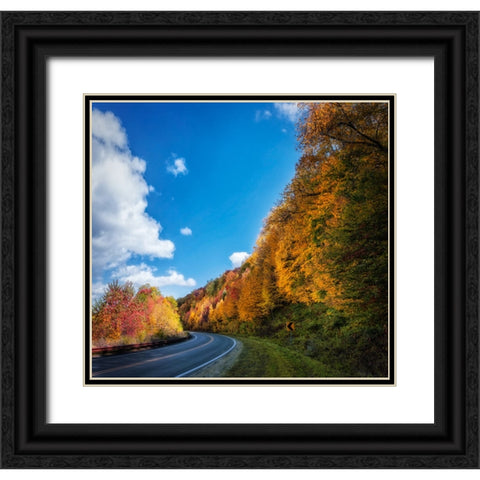 Fall Curve Black Ornate Wood Framed Art Print with Double Matting by Lee, Rachel