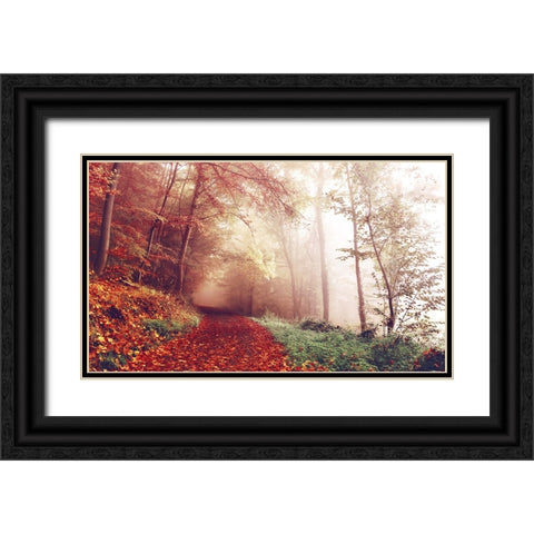 Fall Road Black Ornate Wood Framed Art Print with Double Matting by Lee, Rachel