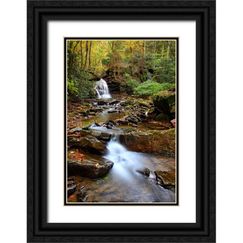 Falls 1 Black Ornate Wood Framed Art Print with Double Matting by Lee, Rachel
