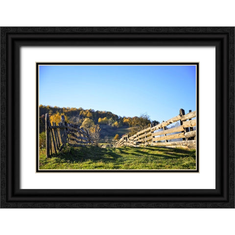 Fence 1 Black Ornate Wood Framed Art Print with Double Matting by Lee, Rachel