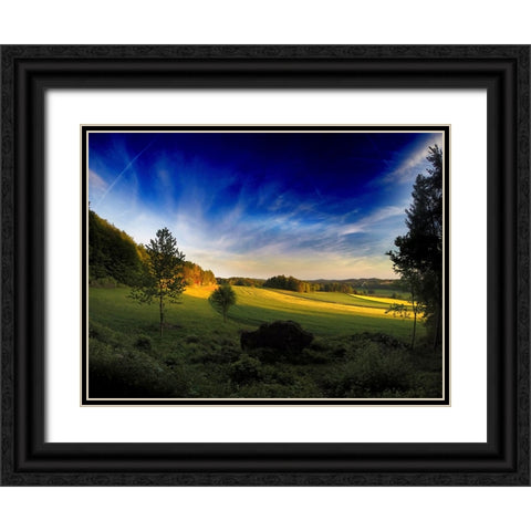 Field 12 Black Ornate Wood Framed Art Print with Double Matting by Lee, Rachel