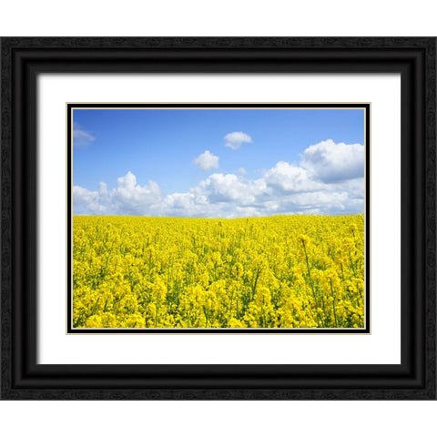 Field 15 Black Ornate Wood Framed Art Print with Double Matting by Lee, Rachel