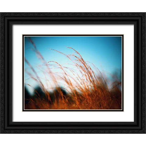 Field 20 Black Ornate Wood Framed Art Print with Double Matting by Lee, Rachel