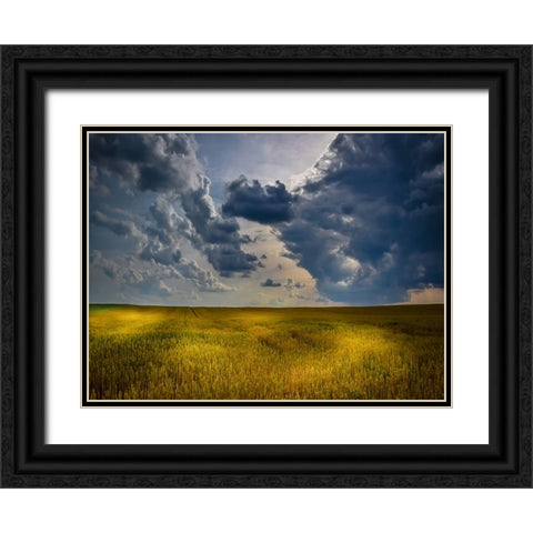 Field 21 Black Ornate Wood Framed Art Print with Double Matting by Lee, Rachel