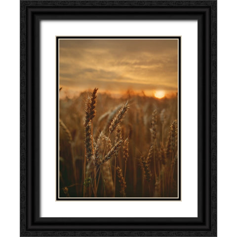 Field 24 Black Ornate Wood Framed Art Print with Double Matting by Lee, Rachel