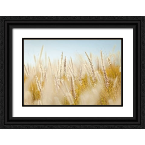 Field 6 Black Ornate Wood Framed Art Print with Double Matting by Lee, Rachel