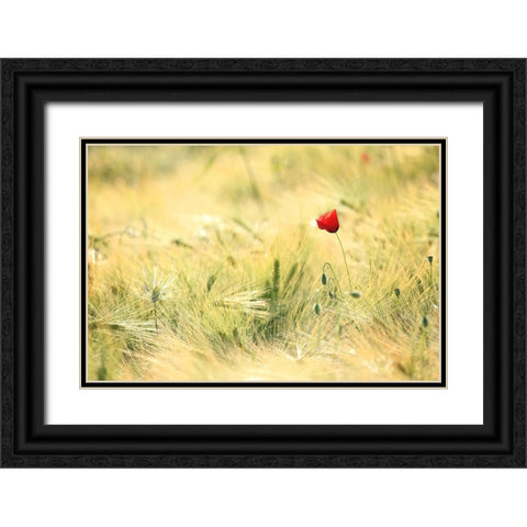 Field 9 Black Ornate Wood Framed Art Print with Double Matting by Lee, Rachel