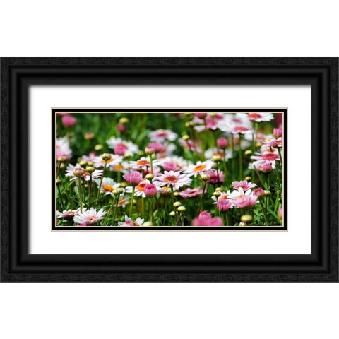 Flower 48 Black Ornate Wood Framed Art Print with Double Matting by Lee, Rachel