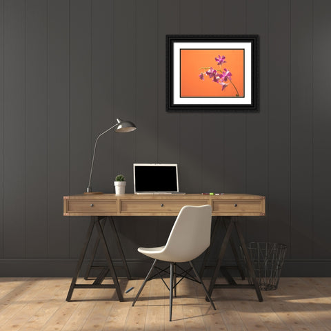 Flower 50 Custom Orange Black Ornate Wood Framed Art Print with Double Matting by Lee, Rachel