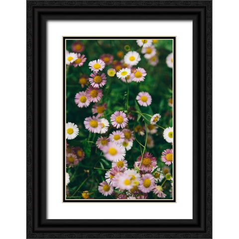 Flower 53 Black Ornate Wood Framed Art Print with Double Matting by Lee, Rachel