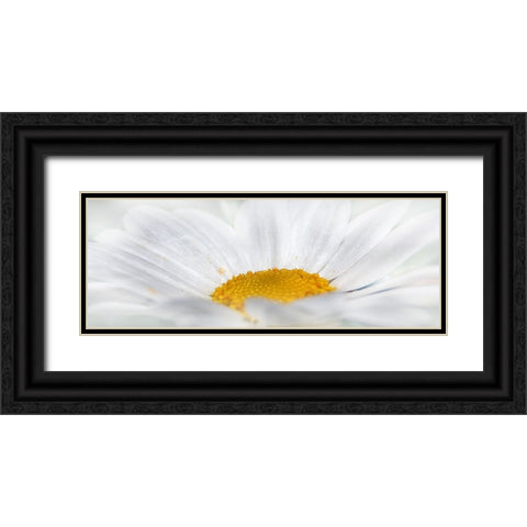 Flower 68 Black Ornate Wood Framed Art Print with Double Matting by Lee, Rachel