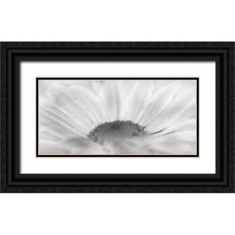 Flower 68 Grayscale Watercolor Black Ornate Wood Framed Art Print with Double Matting by Lee, Rachel