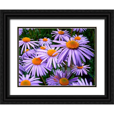 Flower 69 Black Ornate Wood Framed Art Print with Double Matting by Lee, Rachel