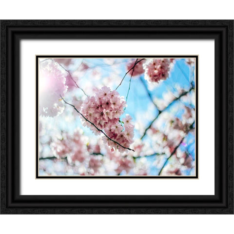 Flower 80 Black Ornate Wood Framed Art Print with Double Matting by Lee, Rachel