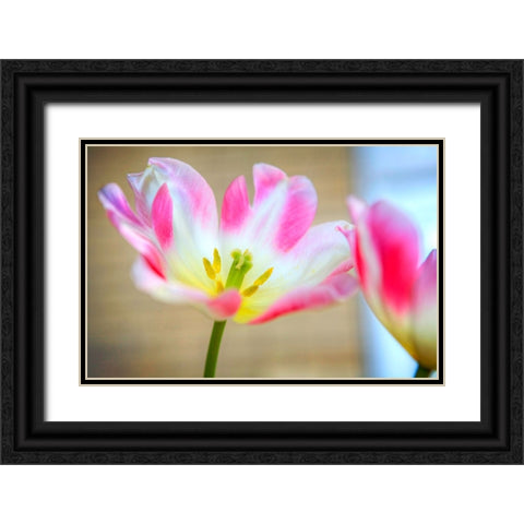 Flower Pink Black Ornate Wood Framed Art Print with Double Matting by Lee, Rachel