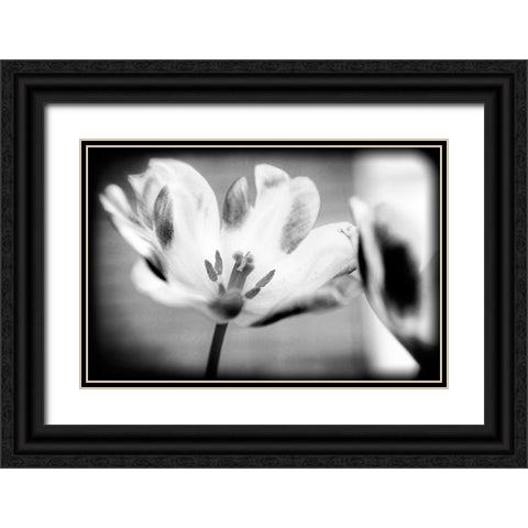 Flower Pink BW Holga Black Ornate Wood Framed Art Print with Double Matting by Lee, Rachel