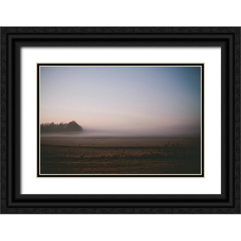 Foggy Field Black Ornate Wood Framed Art Print with Double Matting by Lee, Rachel