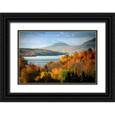 Forest Lake Black Ornate Wood Framed Art Print with Double Matting by Lee, Rachel