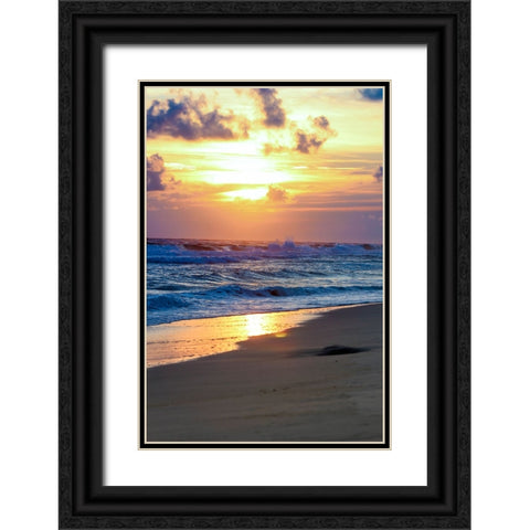 Gulf Shores 1 Black Ornate Wood Framed Art Print with Double Matting by Lee, Rachel