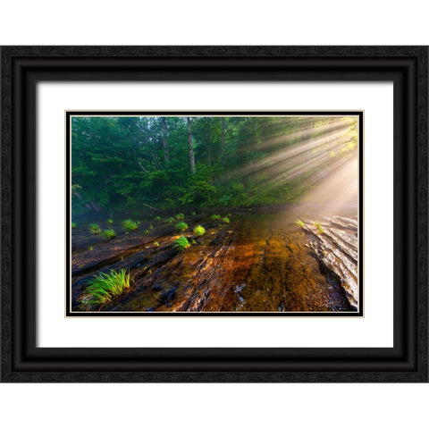 Hiwassee Morning Rays Black Ornate Wood Framed Art Print with Double Matting by Lee, Rachel