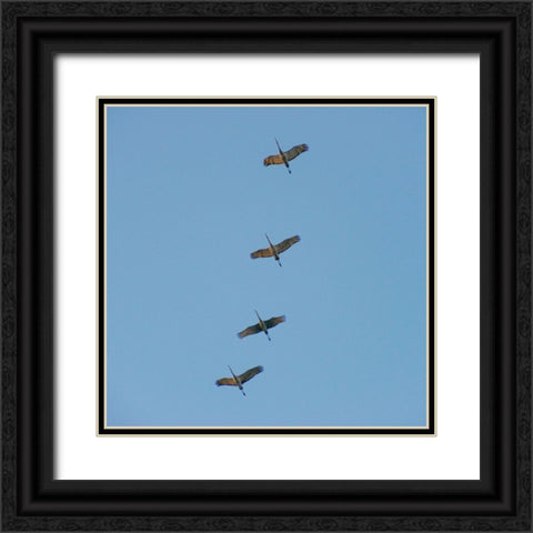 Hiwassee Refuge 4 Black Ornate Wood Framed Art Print with Double Matting by Lee, Rachel