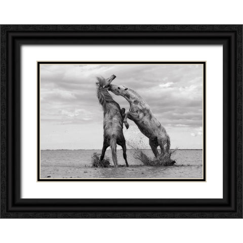Horse 1 Black Ornate Wood Framed Art Print with Double Matting by Lee, Rachel
