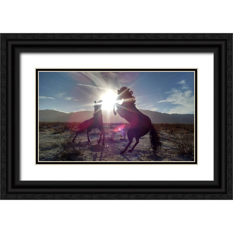 Horse 3 Black Ornate Wood Framed Art Print with Double Matting by Lee, Rachel