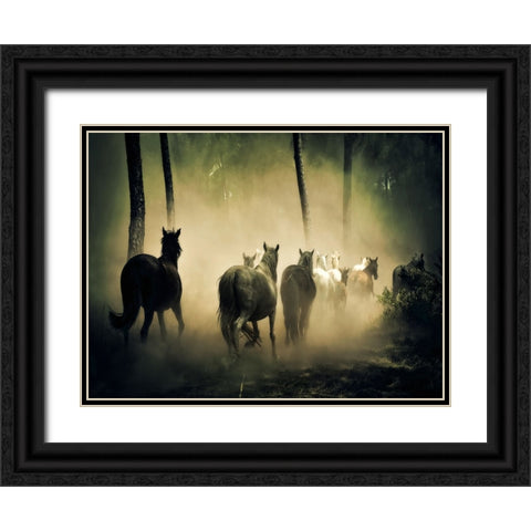 Horse 4 Black Ornate Wood Framed Art Print with Double Matting by Lee, Rachel