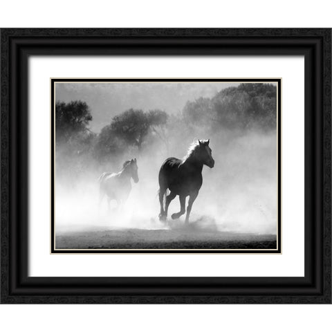 Horse 6 Black Ornate Wood Framed Art Print with Double Matting by Lee, Rachel