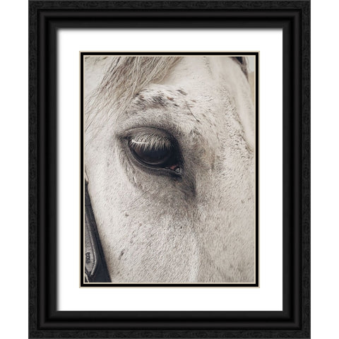 Horse 7 Black Ornate Wood Framed Art Print with Double Matting by Lee, Rachel