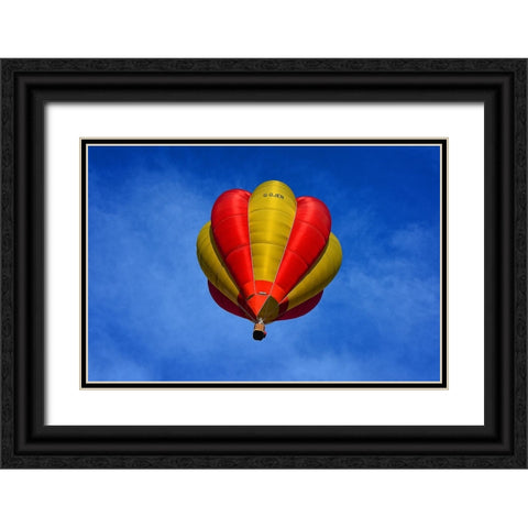Hot Air Balloon 1 Black Ornate Wood Framed Art Print with Double Matting by Lee, Rachel