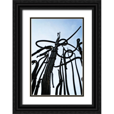 Hunter Iron Black Ornate Wood Framed Art Print with Double Matting by Lee, Rachel