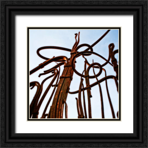 Hunter Iron Rust Black Ornate Wood Framed Art Print with Double Matting by Lee, Rachel